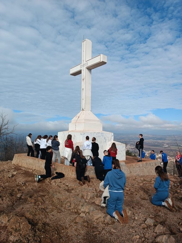 732e332b-9a2f-44a5-94fe-d5496de6f398